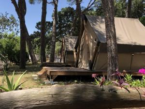 a tent is set up in the woods at Camping 3 Estrellas Costa Brava in Vall-Llobrega