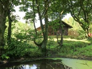 UgthorpeにあるPond Farm Woodlandsの池と木が植わる森のログキャビン