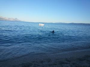 a person swimming in a large body of water at Apartment Tara in Sumartin