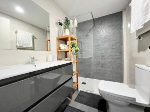 a bathroom with a sink and a toilet at Habitación Atocha Mendez in Madrid
