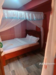 a bed with a canopy in a room at The white rock 2023 in Eldoret