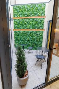 eine Pflanze in einem Topf vor einer grünen Wand in der Unterkunft Inn Boutique León in León