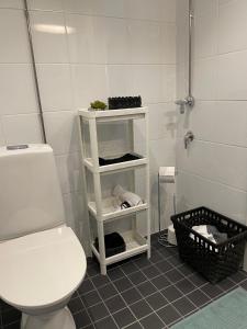 Kylpyhuone majoituspaikassa Yksiö Ruoveden keskustassa