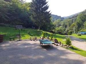 un parco con tavolo da ping pong e canestro da basket di Cabana Basmelor cu Ciubar a Cisnădie