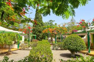 un jardin avec des fleurs et des arbres rouges et un bâtiment dans l'établissement Bungalows Cordial Sandy Golf, à Maspalomas 23 autres photos