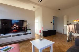 sala de estar con TV de pantalla plana grande en Spacious private apartement, 25min from Amsterdam, en Hilversum