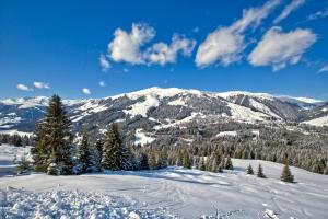 a snow covered mountain with trees in the foreground at Apartment Bacher in Wald im Pinzgau