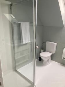 ein Bad mit einer Dusche und einem WC in der Unterkunft La dreve in Verviers
