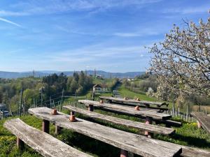 a row of wooden benches sitting on top of a hill at Samenkönig Pschait Handels GmbH in Gamlitz