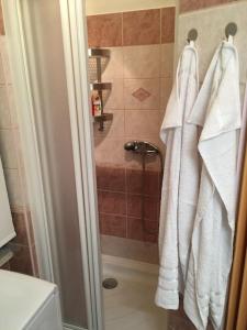 a bathroom with a shower with white towels at Útulné ubytováni u centra v blízkosti Výstaviště in Brno