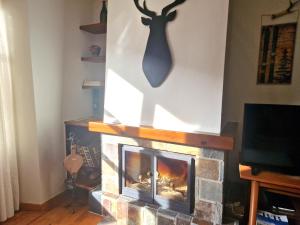 a living room with a fireplace with a deer head on the wall at Dúplex familiar i amb vistes al centre d’Esterri by RURAL D'ÀNEU in Esterri d'Àneu