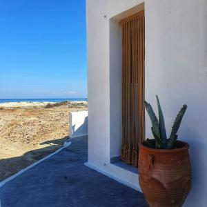 a plant in a pot sitting next to a building at Zacharias Seaside Studio Kimolos in Kimolos