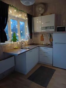 eine Küche mit einer Spüle und einem weißen Kühlschrank in der Unterkunft Sodyba Gaižėnai in Vinkšnupiai
