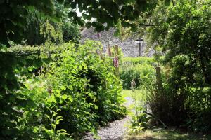 een tuin met veel planten en een pad bij Frieslands Ferienwohnung in Bockhorn