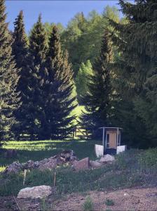 a small shack in the middle of a field with trees at Penzion Aurelia Donovaly in Donovaly