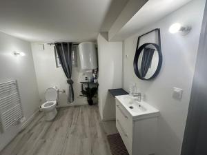 La salle de bains blanche est pourvue de toilettes et d'un lavabo. dans l'établissement Confortable appartement centre de Vichy, à Vichy