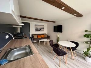 TV a/nebo společenská místnost v ubytování Confortable appartement centre de Vichy