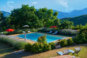 una piscina con sedie e ombrelloni in un cortile di Agriturismo Vellaneta a Cagli