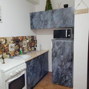 a kitchen with a refrigerator and a sink and a microwave at Cazare Centru Brasov in Braşov