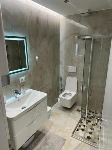 uma casa de banho com um WC, um lavatório e um chuveiro em Luxury Apartment Tirana em Tirana