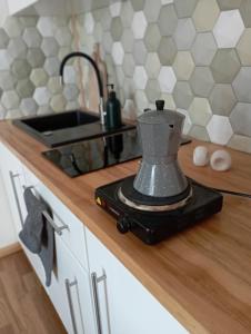 Kuchyňa alebo kuchynka v ubytovaní Apartament nad strumykiem Lądek-Zdrój