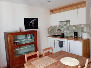 Kuchyňa alebo kuchynka v ubytovaní Apartament nad strumykiem Lądek-Zdrój
