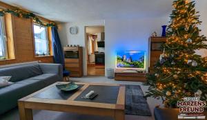 a living room with a christmas tree and a television at Arode Grosser Harzensfreund in Sankt Andreasberg