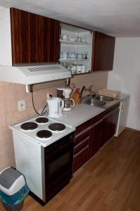 a kitchen with a stove and a sink at Český ráj - apartmán in Žehrov