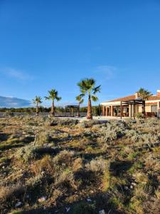 a house with palm trees in the middle of a field at Villa Melody Novalja in Novalja