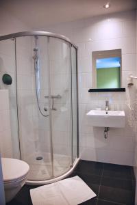 een badkamer met een douche, een wastafel en een toilet bij B&B De Hofnar Roermond in Roermond
