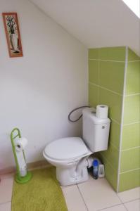 a bathroom with a toilet and a green wall at Statek u Sýkorky in Ostrov