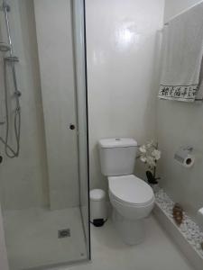 een witte badkamer met toilet en douche bij Citrus dream apartment in Athene