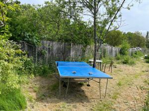 eine blaue Tischtennisplatte im Hof in der Unterkunft villa pleine nature in Brétigny-sur-Orge