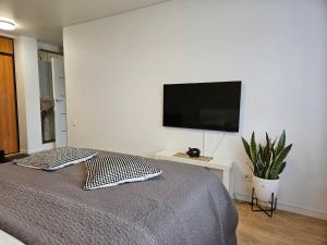 TV a/nebo společenská místnost v ubytování Buto nuoma Žemaitės gatvėje