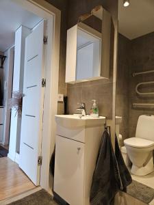 Koupelna v ubytování Buto nuoma Žemaitės gatvėje + 13 fotografií