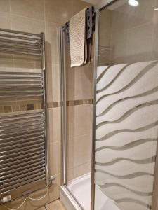 a bathroom with a shower and a tub at Elysian Fields @ Ing Hill Lodge in Outhgill