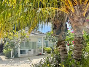 uma palmeira em frente a uma casa em Seri Resort Gili Meno - Adults Only em Gili Meno