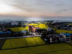 Fotografie z fotogalerie ubytování Hotel sauraha village v destinaci Sauraha