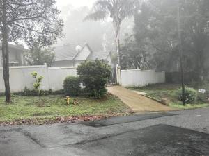 a house with a yellow fire hydrant in the yard at Mitchell Guesthouse in Pietermaritzburg