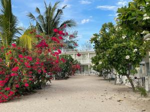 a garden of flowers in front of a building at Seri Resort Gili Meno - Adults Only in Gili Meno