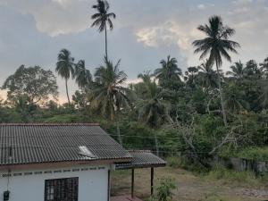 een huis met palmbomen op de achtergrond bij Sunshine Guest House in Polonnaruwa