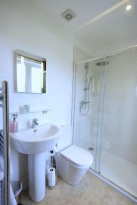 a bathroom with a sink and a toilet and a shower at Whisperwood at Carrick Castle Estate in Carrick