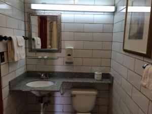 a bathroom with a sink and a toilet and a mirror at Budget Inn - Scottsboro in Scottsboro