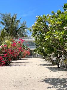 Zahrada ubytování Seri Resort Gili Meno - Adults Only