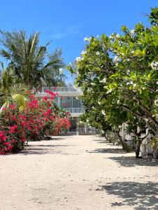 a row of flowers and trees in front of a building at Seri Resort Gili Meno - Adults Only in Gili Meno