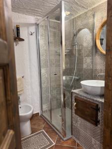 ein Bad mit einer Dusche, einem Waschbecken und einem WC in der Unterkunft B&B La Baita "monolocale ad uso esclusivo" in Fonni