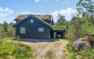 a black barn with a grass roof on a dirt road at Nice Home In seral With Wifi in Åseral