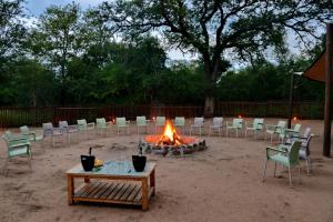 Fotografie z fotogalerie ubytování Kruger Safari Lodge v destinaci Rezervace Manyeleti
