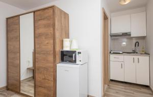 Foto dalla galleria di Awesome Apartment In Rogotin With Wifi a Rogotin