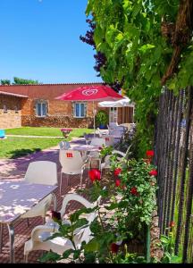 A garden outside Albergue Santa Ana